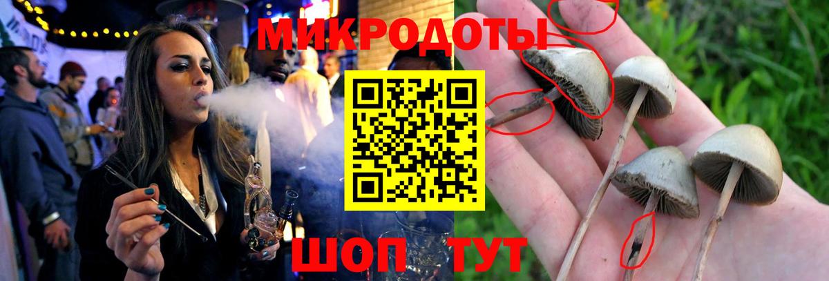 Кропоткин  Псилоцибиновые грибы GOLDEN TEACHER  закладки  Вход с VPN 